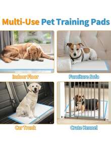 10/50/100 Stücke Super Saugfähige Pads für Haustiere, Geruchskontrolle Welpen Trainings Pads, undurchlässig 5-Lagen Schnell Trocknend für Katzen und Hunde geeignet, Einweg Haustier Pads mit verdichtetem Bambuskohle zur Geruchsbeseitigung und Feuchtigkeitsaufnahme (verschiedene Größen zur Auswahl verfügbar) - Verschiedenfarbig - Übersicht 9