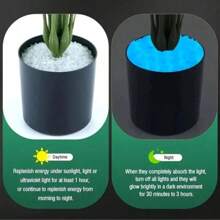 1000/2000/4000片/袋，园林沙中发光沙，迷你仙境装饰，水族箱人造发光石，盆栽装饰石，盆栽植物，多肉植物，DIY装饰