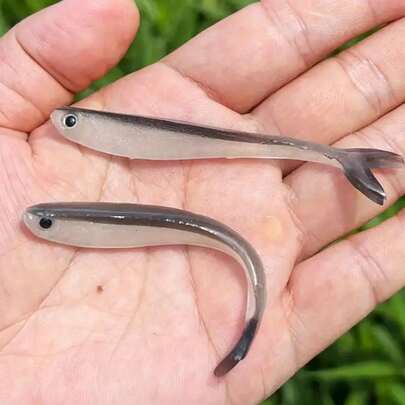 10pcs Soft Silicone Fishing Lures, 8cm T-Tail Swimbait With Sharp Hooks, Suitable For Bass, Freshwater And Saltwater Fishing - Mixed Colors, PVC Material, Great For Offshore Fishing And Jig Bait Techniques, Fishing Lures