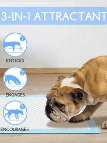 10/50/100 Stücke Super Saugfähige Pads für Haustiere, Geruchskontrolle Welpen Trainings Pads, undurchlässig 5-Lagen Schnell Trocknend für Katzen und Hunde geeignet, Einweg Haustier Pads mit verdichtetem Bambuskohle zur Geruchsbeseitigung und Feuchtigkeitsaufnahme (verschiedene Größen zur Auswahl verfügbar) - Verschiedenfarbig - Übersicht 4