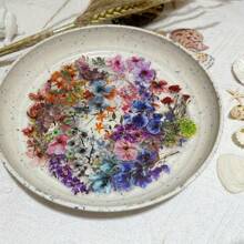 Set Of 50 GUTBD Clear Flower Stickers, PET Cartoon Flower Stickers For Diaries, Laptops And Luggage, Self-Adhesive And Reusable, Glass-Friendly, Matte Finish - Creative Decoration Kit