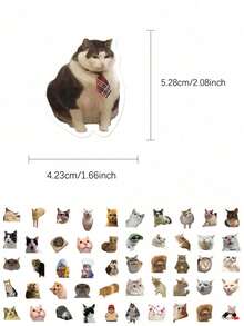 50 件有趣的猫咪表情包创意贴纸日常古怪装饰笔记本电脑行李冰箱记事本剪贴簿桌面房间装饰 DIY 创意贴纸可作为送给好朋友的节日礼物