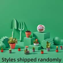 ZURU Mini Brands Launches Garden Capsule Series, Featuring ZURU's Miniature Plant Collectibles, Packaged In Mystery Blind Boxes, Suitable For DIY And Collection - Garden Capsule - View 5