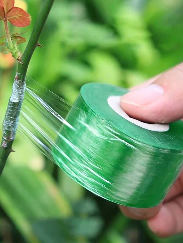 High Quality Self - Adhesive Grafting Tape, Durable Plastic, Anti - Knot, Suitable For Fruit Tree Seedling Grafting Tape, Fruit Tree Grafting Tools, Fruit Tree Grafting Film. Transparent Color Grafting Film, Wrapping Film PVC Silk Film