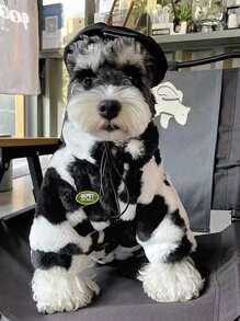 Autumn/Winter New Pet Dog Cat Classic Black & White Patchwork Dog Jacket, Thick Faux Fur Coat For Small/Medium Dogs & Cats, Schnauzer, French Bulldog, Poodle