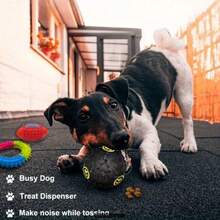 2/4/6pcs Pet Toy Set, Cute Durable Dog Toys, Dog , Ball, Rope Toy, Dog Boredom Relief Interactive Toys, Dog Gift (Random Style & Color) - Multicolor - View 5