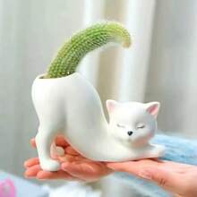 1 件可爱小花盆，多肉仙人掌花盆，可爱猫形花盆，创意植物容器，适用于室内/室外、办公室、家庭、花园、厨房装饰，非常适合婚礼艺术装饰和母亲节礼物