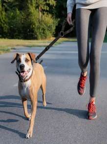 Cinturón de para mascotas en el coche, productos para el coche, correa de para perros, correa para mascotas, cinturón de para perros y gatos, sujeción para reposacabezas del coche, de nailon ajustable, sujeción para vehículo para perros, accesorios para mascotas en el coche, accesorios para el coche