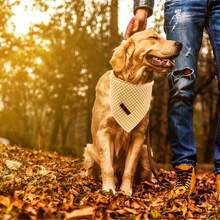Lionet Paws Dog Bandana For Small Medium Large Dogs, Cat Dogs Kerchief Triangle Bibs Scarf For Girl Or Boy - Yellow & White Plaid - 查看 8