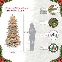 7.5 Ft. PreLit Flocked Slim Fraser Fir Artificial Christmas Tree With 500 ULListed Clear Lights - 肉凍 - 查看 3