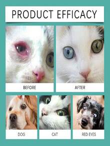 YEGBONG قطرات عين للحيوانات الأليفة 30 مل - توفر الإصلاح والحماية لعيون الحيوانات الأليفة، تزيل بقع العين والإفرازات والبلغم، مناسبة لجميع الحيوانات الأليفة، القطط والكلاب، لا تسبب حساسية، مناسبة للحيوانات الأليفة الحساسة. منتجات العناية بالحيوانات الأليفة