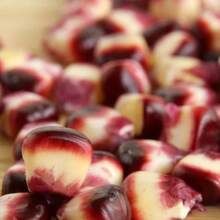 186 piezas de semillas tradicionales Bloody Butcher, no transgénicas, polinizadas al aire, con manchas rojas brillantes en la superficie - harina de maíz para cocinar, propósito versátil - 186 - Ver 3