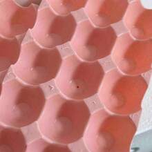 Egg Trays & Baskets - Blue - View 7