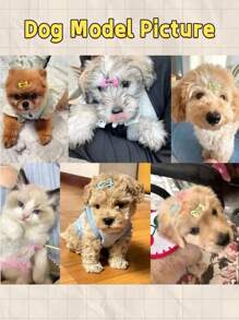 10 buc/pachet cleme de păr cu model aleatoriu pentru animale de companie, accesorii mini pentru părul câinilor și pisicilor, potrivite pentru accesorii de îngrijire a părului de animale de companie, consumabile pentru petreceri de ziua de naștere, cadou perfect pentru familie și prieteni