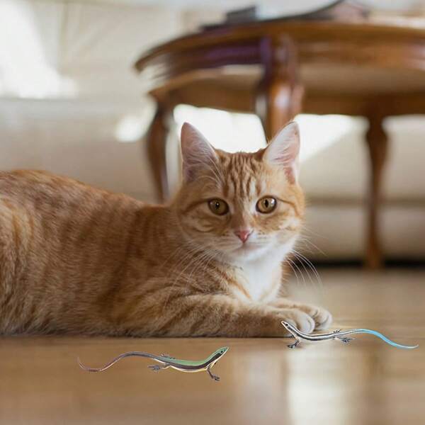 2 Stücke Set Eidechsen-förmiges Katzenspielzeug, geeignet für Katzen über 6 Monate, robustes Plastik Haustier interaktives Spiel und Training, batteriefrei Katzenspielzeug für Innenbereich