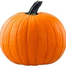 50 piezas de semillas de calabaza de copa, no transgénicas, gigantes para plantar, fáciles de plantar, regalo para amantes de las plantas - SEMILLA - Ver 2