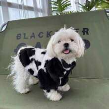 Autumn/Winter New Pet Dog Cat Classic Black & White Patchwork Dog Jacket, Thick Faux Fur Coat For Small/Medium Dogs & Cats, Schnauzer, French Bulldog, Poodle