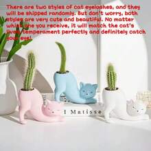 1 件可爱小花盆，多肉仙人掌花盆，可爱猫形花盆，创意植物容器，适用于室内/室外、办公室、家庭、花园、厨房装饰，非常适合婚礼艺术装饰和母亲节礼物