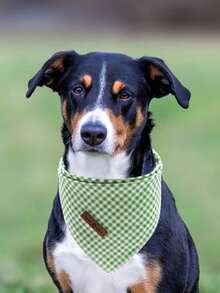 Lionet Paws Dog Bandana For Small Medium Large Dogs, Cat Dogs Kerchief Triangle Bibs Scarf For Girl Or Boy - Green & White Plaid - 查看 8