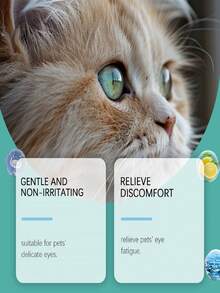 YEGBONG قطرات عين للحيوانات الأليفة 30 مل - توفر الإصلاح والحماية لعيون الحيوانات الأليفة، تزيل بقع العين والإفرازات والبلغم، مناسبة لجميع الحيوانات الأليفة، القطط والكلاب، لا تسبب حساسية، مناسبة للحيوانات الأليفة الحساسة. منتجات العناية بالحيوانات الأليفة