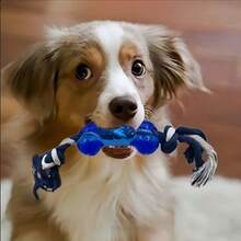 2/4/6pcs Pet Toy Set, Cute Durable Dog Toys, Dog , Ball, Rope Toy, Dog Boredom Relief Interactive Toys, Dog Gift (Random Style & Color) - Multicolor - View 6