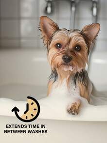 GJYC PET Coconut Dog Perfume Spray Long Lasting | Naturally Derived Odor Removing Pet Deodorizing Spray | Cat Friendly | 3.38 Fl Oz. - Brown - View 6