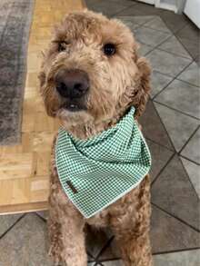 Lionet Paws Dog Bandana For Small Medium Large Dogs, Cat Dogs Kerchief Triangle Bibs Scarf For Girl Or Boy - Green & White Plaid - 查看 6