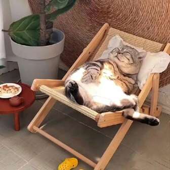 猫抓板窝剑麻猫折叠躺椅猫摇椅耐磨不脱落去屑猫玩具猫窝四季通用猫抓柱麻布垫耐用实木摇椅不掉毛幼猫宠物庇护所猫抓板抓垫实木组装猫窝配黄麻垫耐用不掉毛幼猫摇椅宠物床