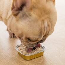 Dog Canned Food 100g*8 Cans Meal Box For Puppies And Adult Dogs Universal Snacks Mixed Rice Wet Food Gift Pack Pet Whole Box - 雞肉絲 - 查看 3