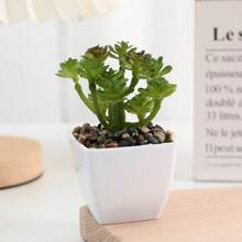 1件/4件仿真迷你多肉植绒迷你方形盆栽家居装饰室内阳台精美多肉盆栽-家居客厅、房间餐桌中心迷你盆栽装饰摆件