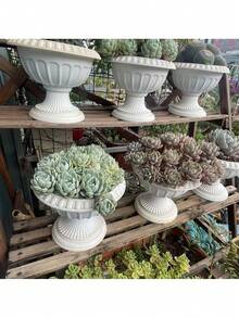 5个装白色小花盆塑料材质简洁大方的多肉植物适合室内办公室使用打造属于自己的风格 - 白色 - 查看 4