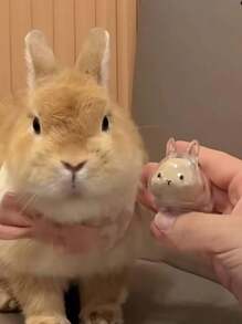 1 件可爱透明宠物兔毛纪念品胶囊，宠物毛发存储钥匙扣，带项圈设计的可爱兔子形纪念容器，密封宠物兔毛存储 DIY 纪念吊坠，送给兔子爱好者和宠物损失同情的礼物，记住心爱宠物的理想选择，宠物配饰，独特的个性化宠物配饰