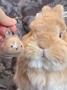 1 件可爱透明宠物兔毛纪念品胶囊，宠物毛发存储钥匙扣，带项圈设计的可爱兔子形纪念容器，密封宠物兔毛存储 DIY 纪念吊坠，送给兔子爱好者和宠物损失同情的礼物，记住心爱宠物的理想选择，宠物配饰，独特的个性化宠物配饰