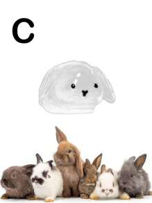 1 件可爱透明宠物兔毛纪念品胶囊，宠物毛发存储钥匙扣，带项圈设计的可爱兔子形纪念容器，密封宠物兔毛存储 DIY 纪念吊坠，送给兔子爱好者和宠物损失同情的礼物，记住心爱宠物的理想选择，宠物配饰，独特的个性化宠物配饰