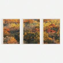 1/3PCS Colorful Autumn Foliage Print Set, Triptych Fall Photography, Bright Tree Tops Poster, Set Of 3 Prints, Rustic Home Decor, Fall Aesthetic