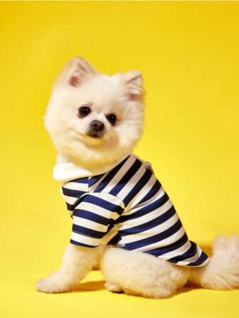 Mascotas, gatos, perros, ropa para perros, cachorro de perro, ropa para perros chihuahua, suministros para gatos, ropa para mascotas, camisas a rayas para perros, ropa para pasear al gato, camisetas para mascotas
