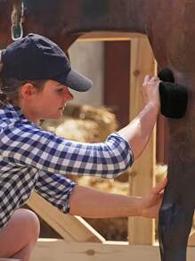 Horse Grooming Sponges For Livestock Cleaning, 1/2/4pcs Premium Horse Bath Sponge, Premium Bath Tools For Dust, Dirt & Debris Removal - Durable, Reusable & Lightweight Horse Cleaning Sponge - Gentle On Skin, Easy To Handle & Store - Ideal For After Ride Horse Cleaning & As Practical Grooming Gift For Horse Owners