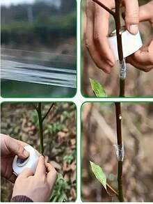 1/2/4Roll 3cm*200m Fruit Tree Grafting Tape, Grafting Tape Grafting Film For Plants, Stretchable Garden Grafting Tape Plants Repair Budding Tapes For Floral Fruit Tree And Poly Budding Tape - Multicolor - View 5