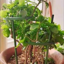 8-Piece Set, Plastic Plant Support Ring, Suitable For Greenhouse Gardens, Semi-Circular Fixed Pole, Suitable For Indoor Flowers And Climbing Plants, Flexible And Adjustable Bonsai Tool, Easy To Adjust Height