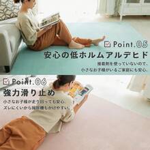 Clothes, Carpets And Leather Cleaners, Bleaches & Softeners - 奶茶 - 查看 6