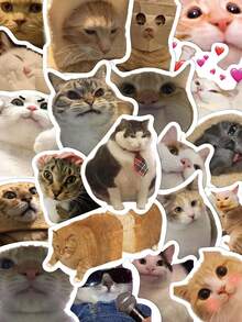 50 件有趣的猫咪表情包创意贴纸日常古怪装饰笔记本电脑行李冰箱记事本剪贴簿桌面房间装饰 DIY 创意贴纸可作为送给好朋友的节日礼物