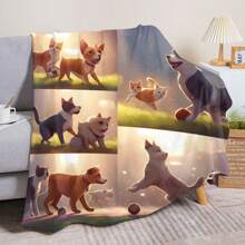 Bed Blankets & Towel Blankets