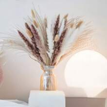 52枝蒲苇、小芦苇、兔尾草、尘土飞扬的小芦苇，家居装饰混搭，干燥花花束，适合庭院装饰，室内装饰（仅限干草）