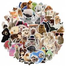 50 张透明贴纸 可爱表情包贴纸 动物贴纸 搞笑表情包贴纸 可爱贴纸 猫咪贴纸 表情包贴纸 水瓶贴纸 笔记本贴纸 水瓶、水壶、吉他、行李箱、手机、手机壳、笔记本电脑、滑板、礼物 - 彩色 - 查看 3