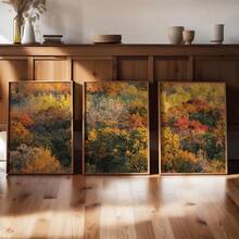 1/3PCS Colorful Autumn Foliage Print Set, Triptych Fall Photography, Bright Tree Tops Poster, Set Of 3 Prints, Rustic Home Decor, Fall Aesthetic