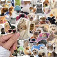 50 张透明贴纸 可爱表情包贴纸 动物贴纸 搞笑表情包贴纸 可爱贴纸 猫咪贴纸 表情包贴纸 水瓶贴纸 笔记本贴纸 水瓶、水壶、吉他、行李箱、手机、手机壳、笔记本电脑、滑板、礼物 - 彩色 - 查看 5