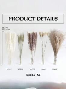 52枝蒲苇、小芦苇、兔尾草、尘土飞扬的小芦苇，家居装饰混搭，干燥花花束，适合庭院装饰，室内装饰（仅限干草）