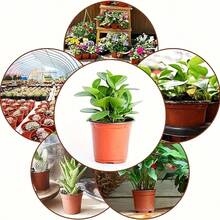 50个黑色塑料植物育苗盆 4英寸 种子育苗盆容器 - 紅色 - 查看 2