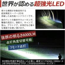 Flashlights - negro - Ver 7