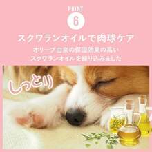 Pet Shoes & Boots - 黑色的 - 查看 8